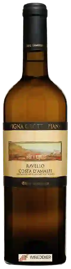 Winery Ettore Sammarco - Vigna Grotta Piana Ravello Costa d'Amalfi