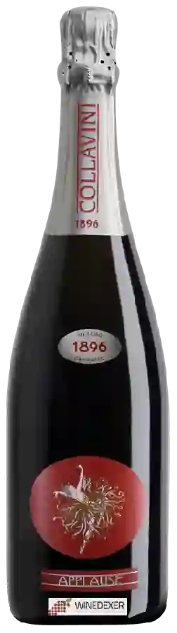 Winery Collavini - Applause