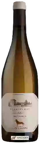 Winery Collavini - Blancfumat Sauvignon (Collezione Privata i Poderi)