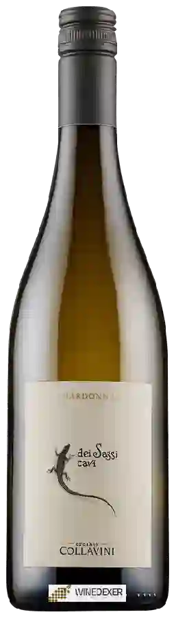 Winery Collavini - Chardonnay Dei Sassi Cavi