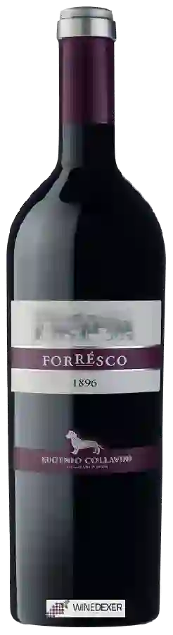 Winery Collavini - Forrésco