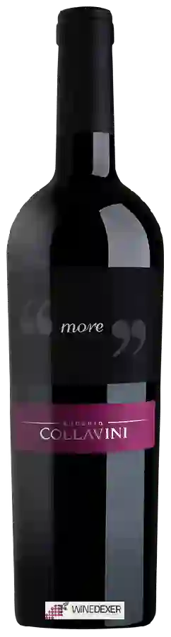 Winery Collavini - More