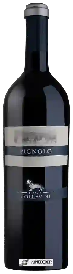 Winery Collavini - Pignolo