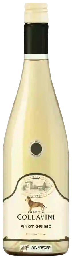 Winery Collavini - Pinot Grigio