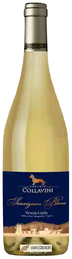 Winery Collavini - Sauvignon Blanc Venezia Giulia