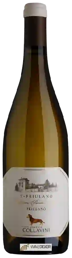 Winery Collavini - T-Friulano