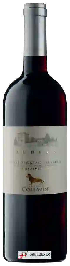 Winery Collavini - Turian Schioppettino