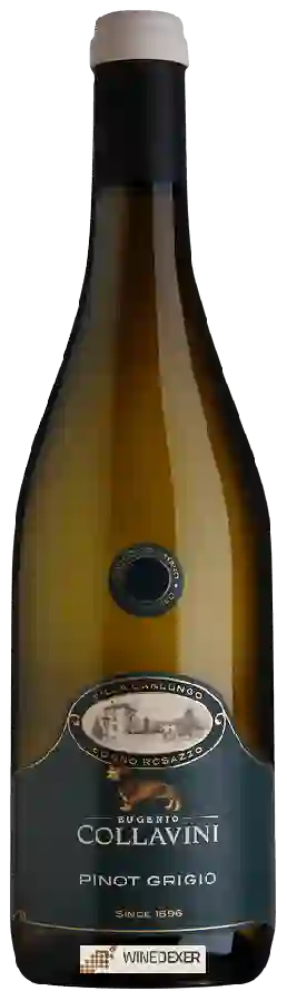 Winery Collavini - Villa Canlungo Black Label Pinot Grigio