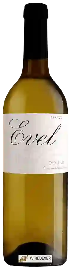 Winery Evel - Douro Branco