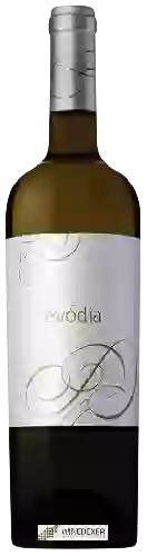 Winery Evodia - Blanco
