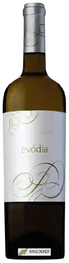 Winery Evodia - Blanco