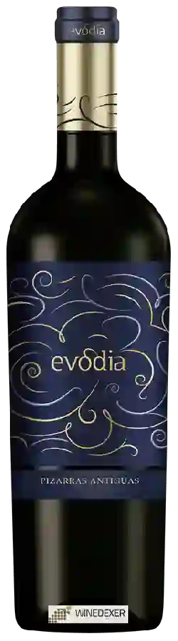 Winery Evodia - Pizarras Antiguas Winery Evodia - Pizarras Antiguas