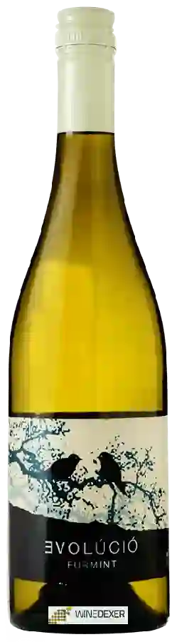 Winery Evolúció - Furmint Winery Evolúció - Furmint