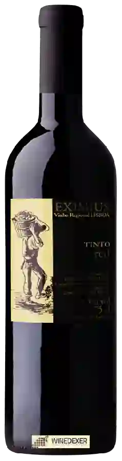 Winery Eximius - Tinto