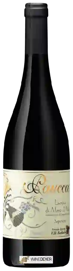 Winery Azienda Agricola Fratelli Badiali - Paucca Lacrima di Morro d'Alba Superiore Winery Azienda Agricola Fratelli Badiali - Paucca Lacrima di Morro d'Alba Superiore