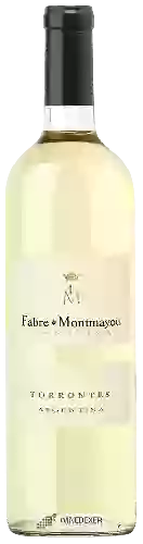 Winery Fabre Montmayou - Torrontes