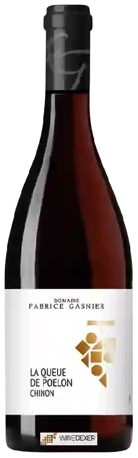 Winery Fabrice Gasnier - La Queue de Poelon Chinon