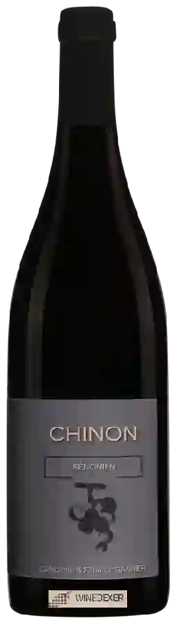 Winery Fabrice Gasnier - Sénonien Chinon Winery Fabrice Gasnier - Sénonien Chinon