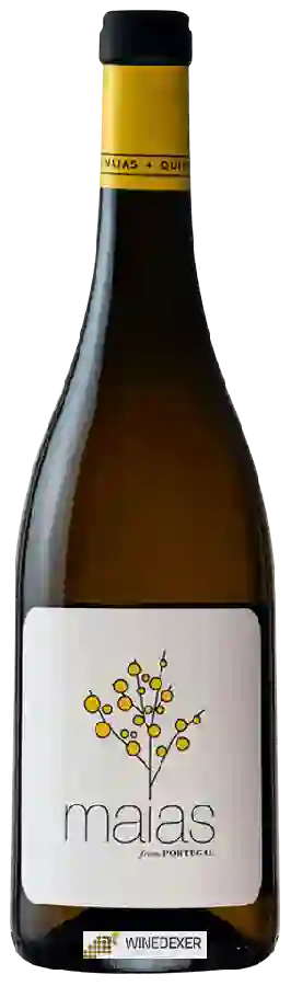 Winery Faldas da Serra - Maias Branco Winery Faldas da Serra - Maias Branco