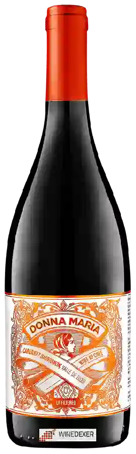 Winery Falernia - Cabernet Sauvignon Donna Maria