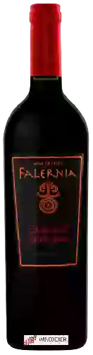 Winery Falernia - Cabernet Sauvignon Gran Reserva