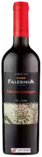 Winery Falernia - Cabernet Sauvignon