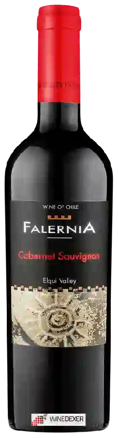 Winery Falernia - Cabernet Sauvignon