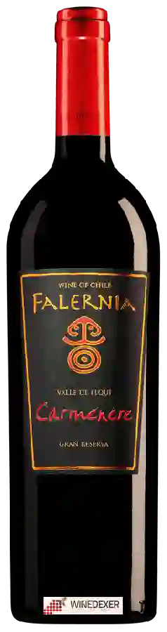 Winery Falernia - Carmenère Gran Reserva Winery Falernia - Carmenère Gran Reserva