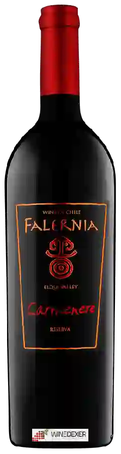 Winery Falernia - Carmenère Reserva Winery Falernia - Carmenère Reserva