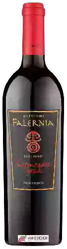 Winery Falernia - Carmenère - Syrah Gran Reserva