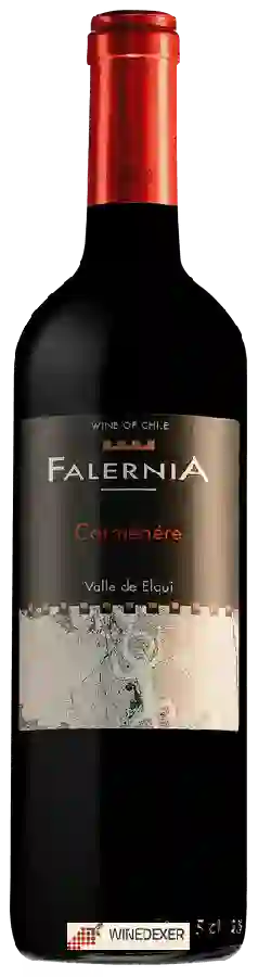 Winery Falernia - Carménère