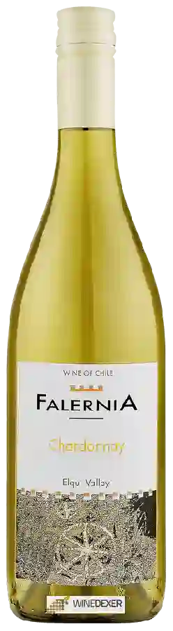 Winery Falernia - Chardonnay