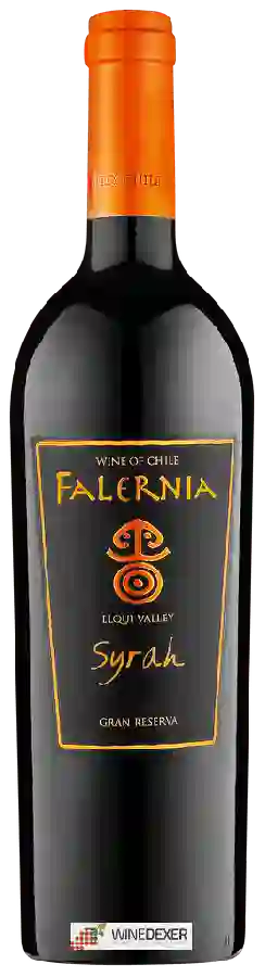 Winery Falernia - Gran Reserva Syrah