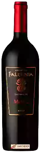 Winery Falernia - Malbec Reserva