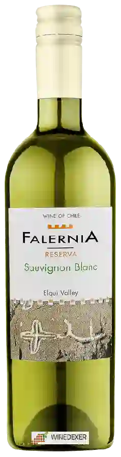 Winery Falernia - Reserva Sauvignon Blanc Winery Falernia - Reserva Sauvignon Blanc