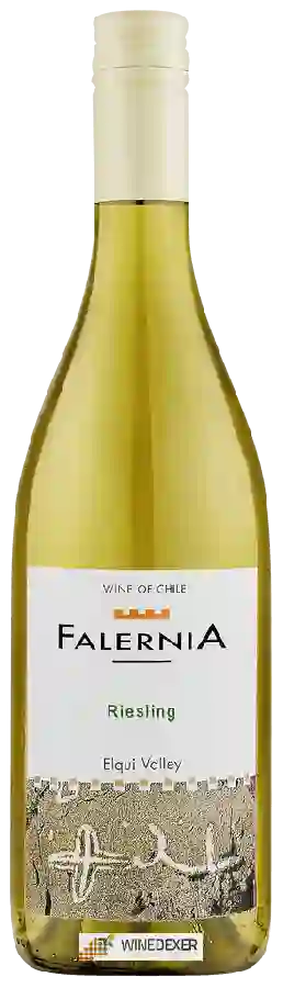 Winery Falernia - Riesling
