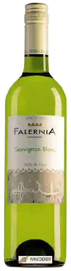 Winery Falernia - Sauvignon Blanc Winery Falernia - Sauvignon Blanc