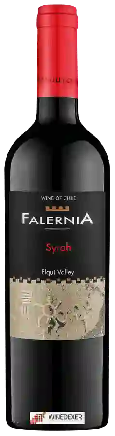 Winery Falernia - Syrah Winery Falernia - Syrah