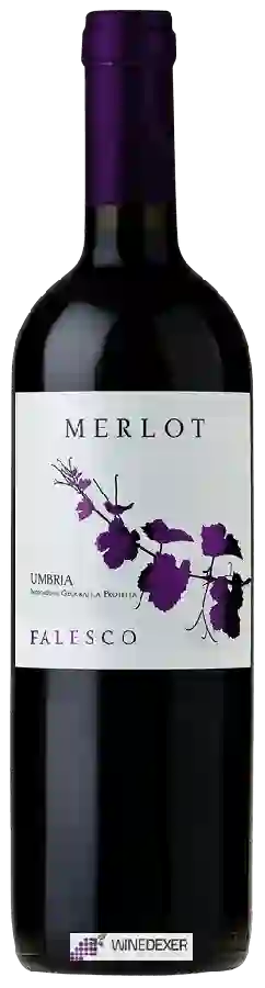 Winery Falesco - Merlot