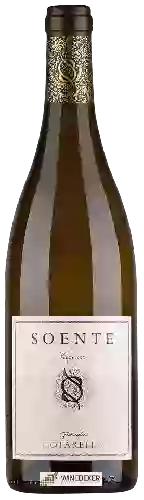 Winery Falesco - Soente