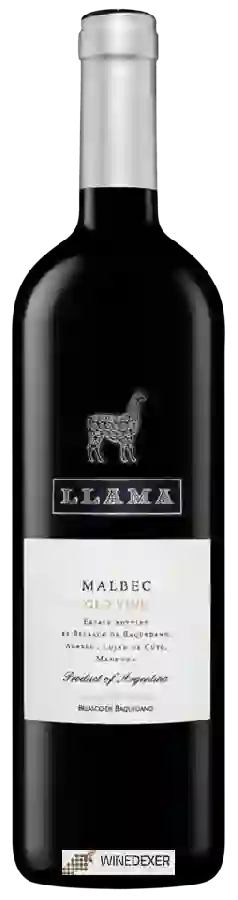 Winery Belasco de Baquedano - Llama Old Vine Malbec