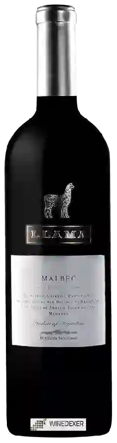 Winery Belasco de Baquedano - Llama Roble Malbec