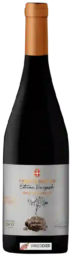 Winery Familia Deicas - Extreme Vineyard Cerro de Guazuvirá