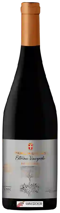 Winery Familia Deicas - Extreme Vineyards Suelo Invertido Winery Familia Deicas - Extreme Vineyards Suelo Invertido