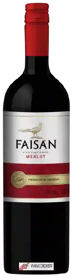 Winery Familia Traversa - Faisán Merlot