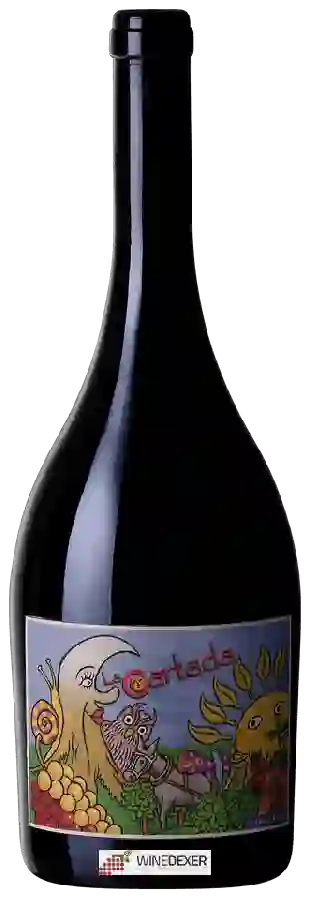 Winery Adega Familiar Eladio Piñeiro - La Coartada Winery Adega Familiar Eladio Piñeiro - La Coartada