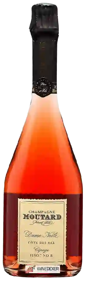 Winery Famille Moutard - Dame Nesle Côte des Bar Cépage Pinot Noir Champagne