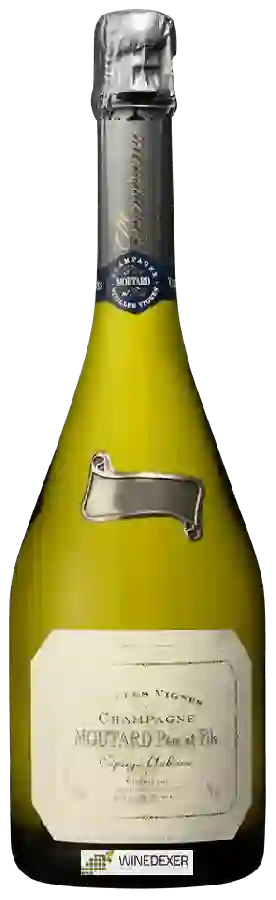 Winery Famille Moutard - Vieilles Vignes Cépage Arbane Champagne Winery Famille Moutard - Vieilles Vignes Cépage Arbane Champagne