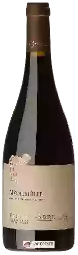 Winery Fanny Sabre - Monthélie