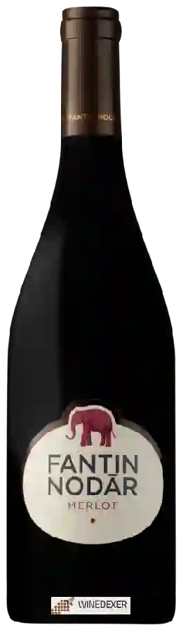 Winery Fantin Nodar - Merlot